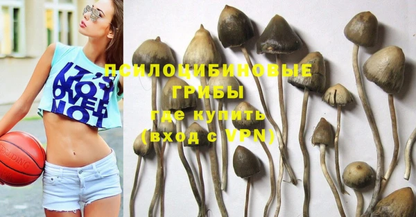 каннабис Лабытнанги