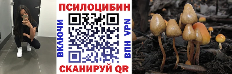 Купить закладки  Ейск  Галлюциногенные грибы Psilocybine cubensis 